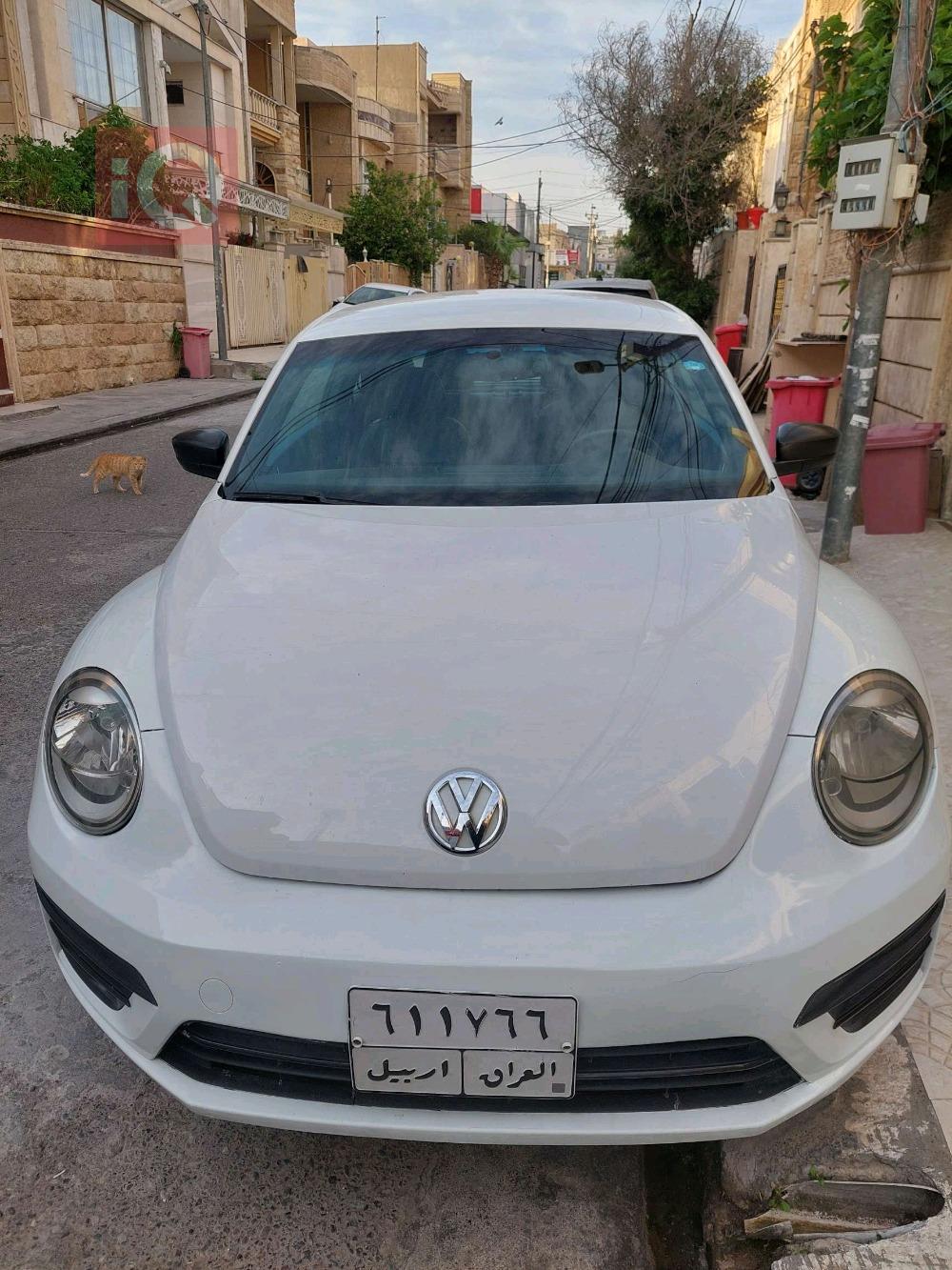 Volkswagen Beetle